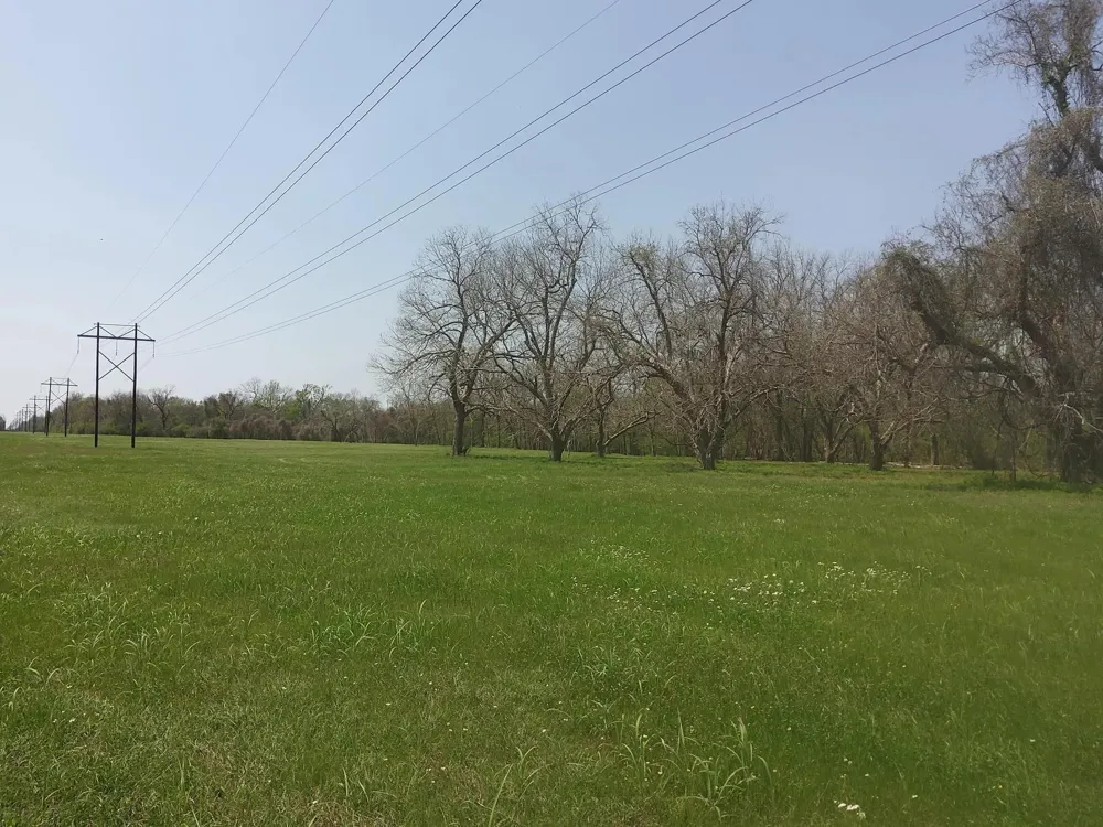 1 Fm 521 Angleton, TX 77515