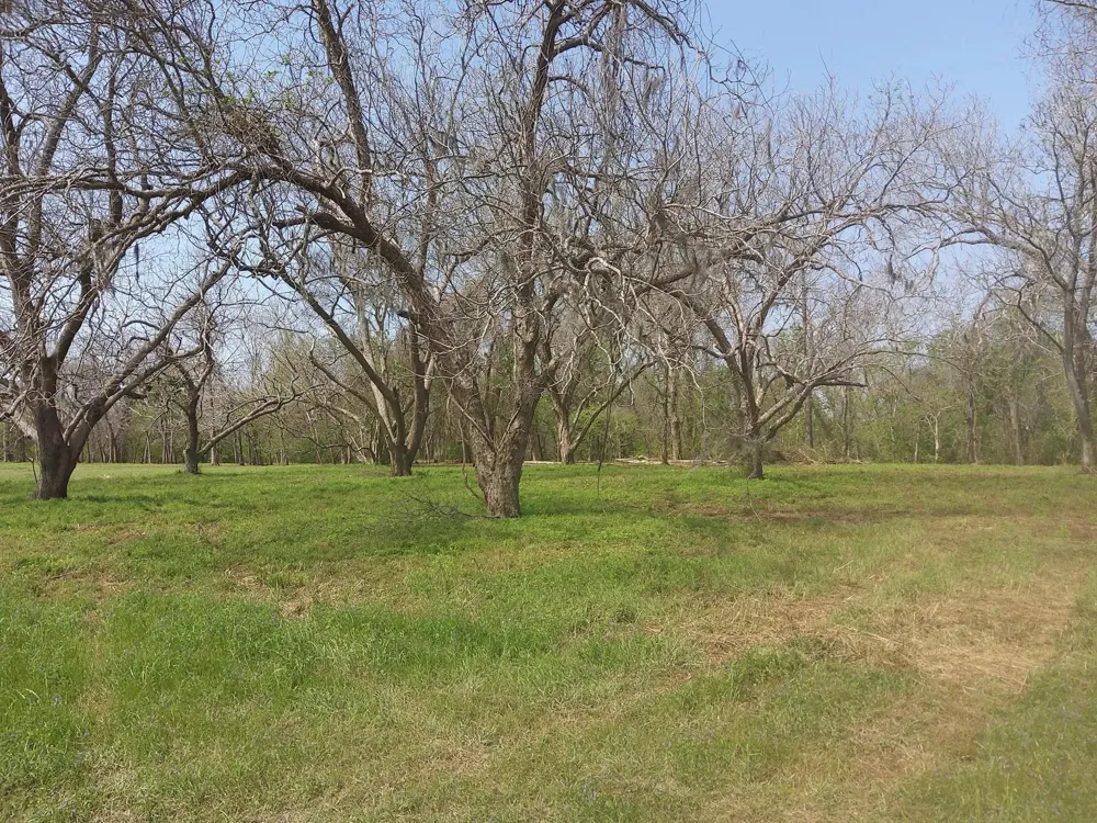1 Fm 521 Angleton, TX 77515