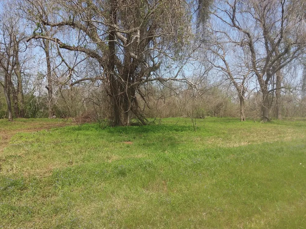 1 Fm 521 Angleton, TX 77515