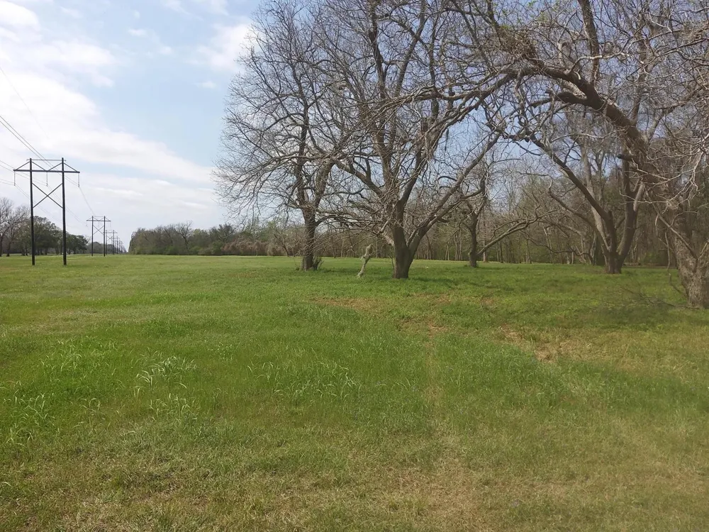 1 Fm 521 Angleton, TX 77515