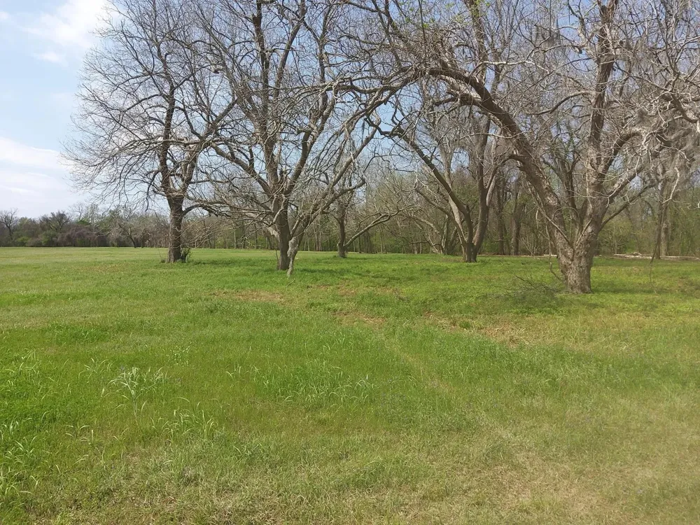 1 Fm 521 Angleton, TX 77515