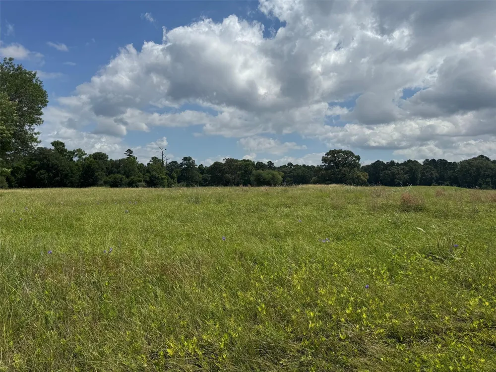 Richmond Circle Trinity, TX 75862