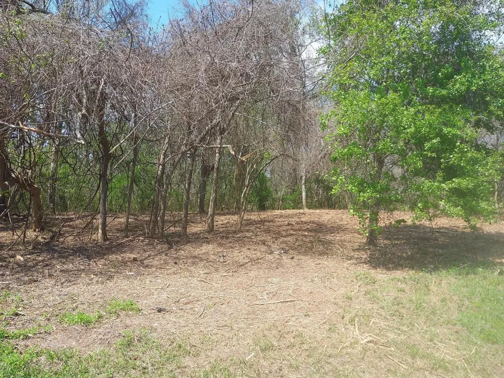 2 Fm 521 Angleton, TX 77515