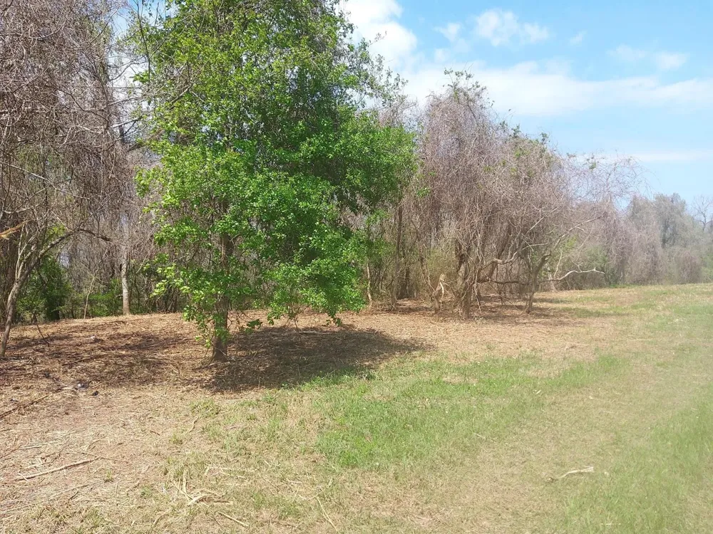 2 Fm 521 Angleton, TX 77515