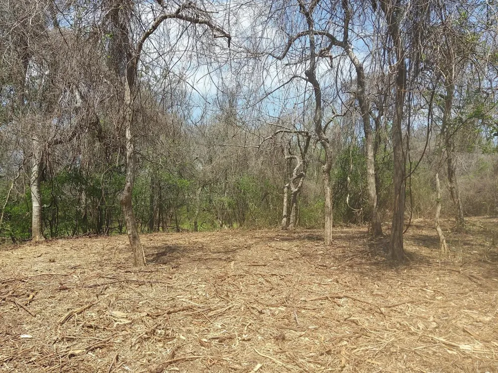 2 Fm 521 Angleton, TX 77515