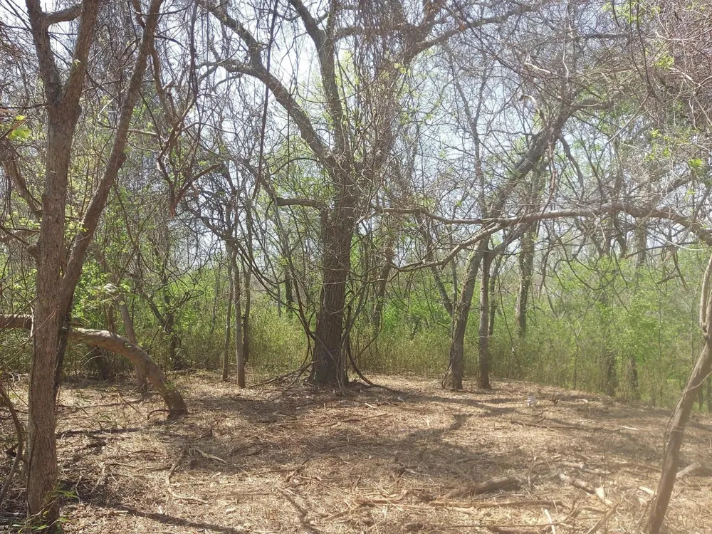 2 Fm 521 Angleton, TX 77515