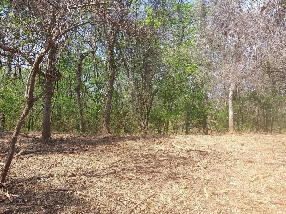 2 Fm 521 Angleton, TX 77515