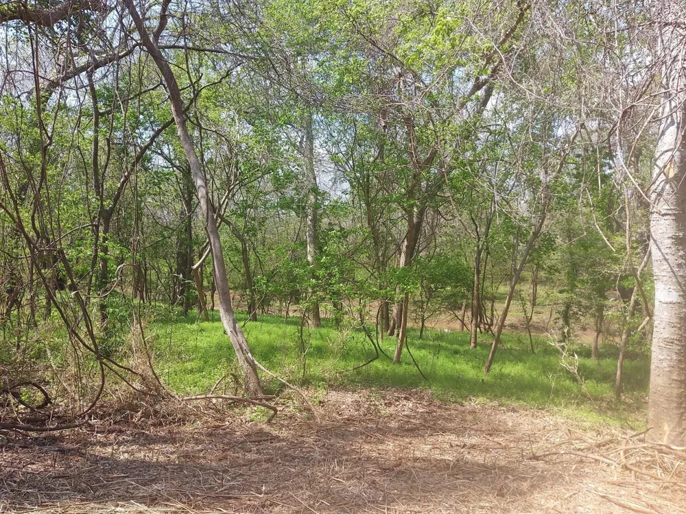 2 Fm 521 Angleton, TX 77515