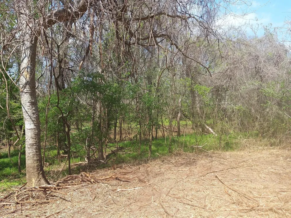 2 Fm 521 Angleton, TX 77515