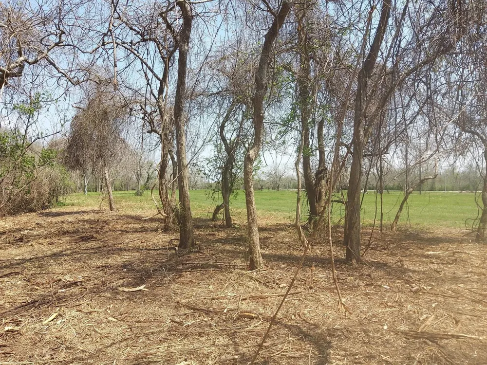 2 Fm 521 Angleton, TX 77515