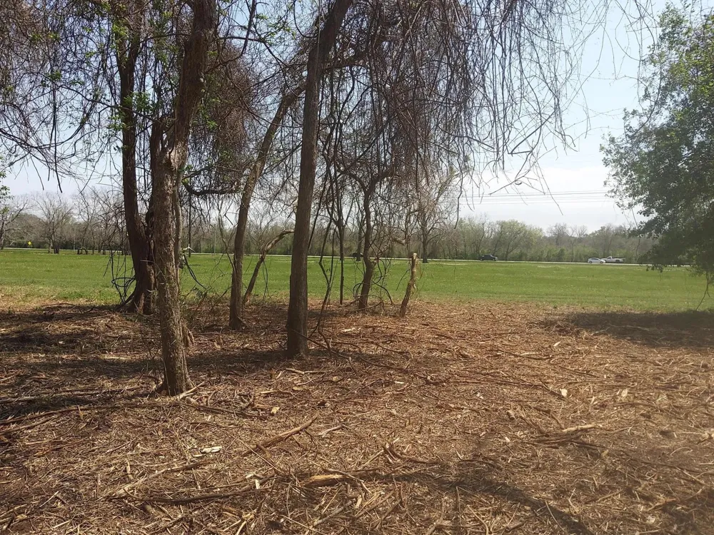 2 Fm 521 Angleton, TX 77515