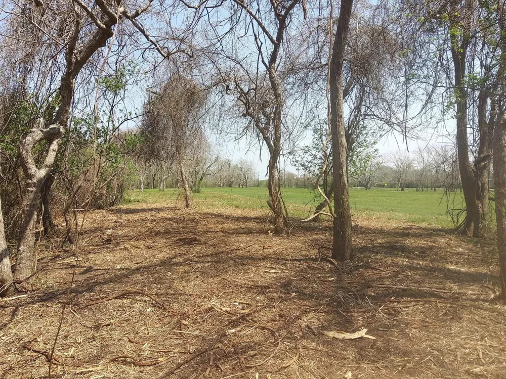 2 Fm 521 Angleton, TX 77515