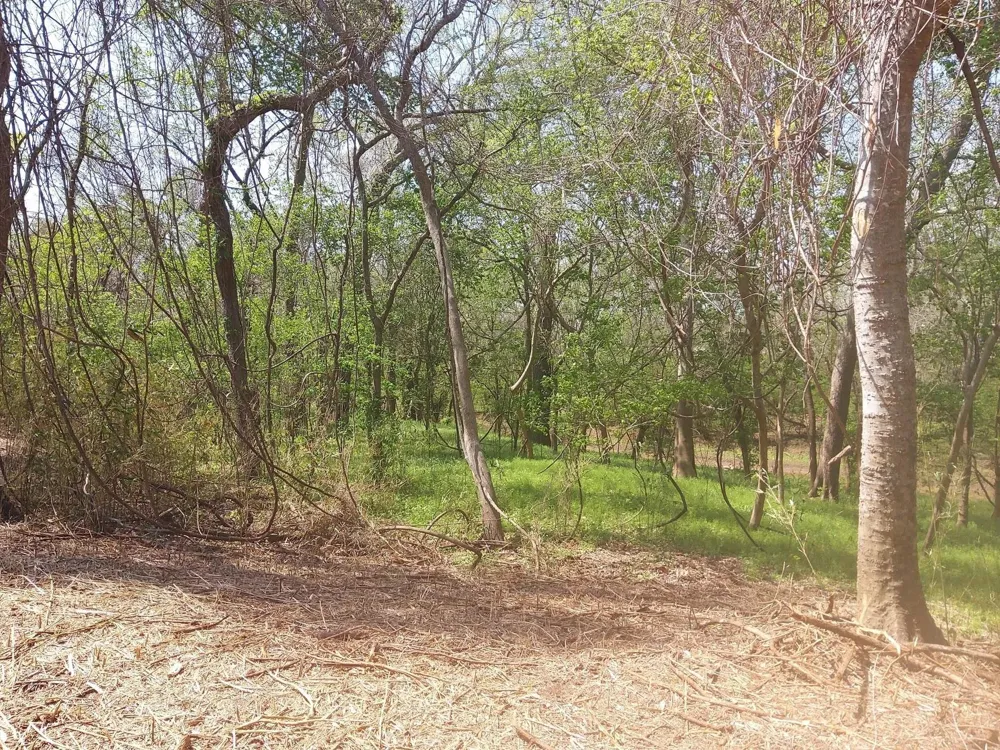 2 Fm 521 Angleton, TX 77515