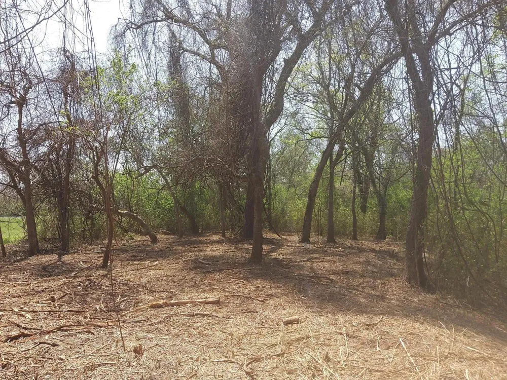 2 Fm 521 Angleton, TX 77515