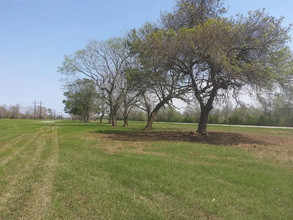 2 Fm 521 Angleton, TX 77515