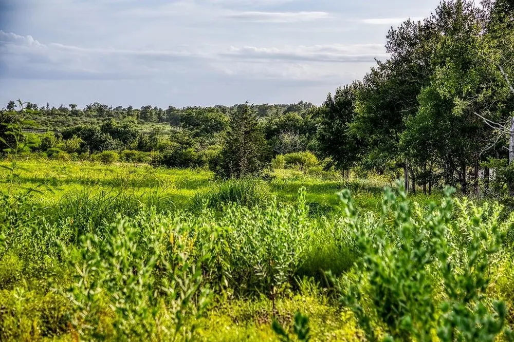 10 Hargrove Lane Washington, TX 77880