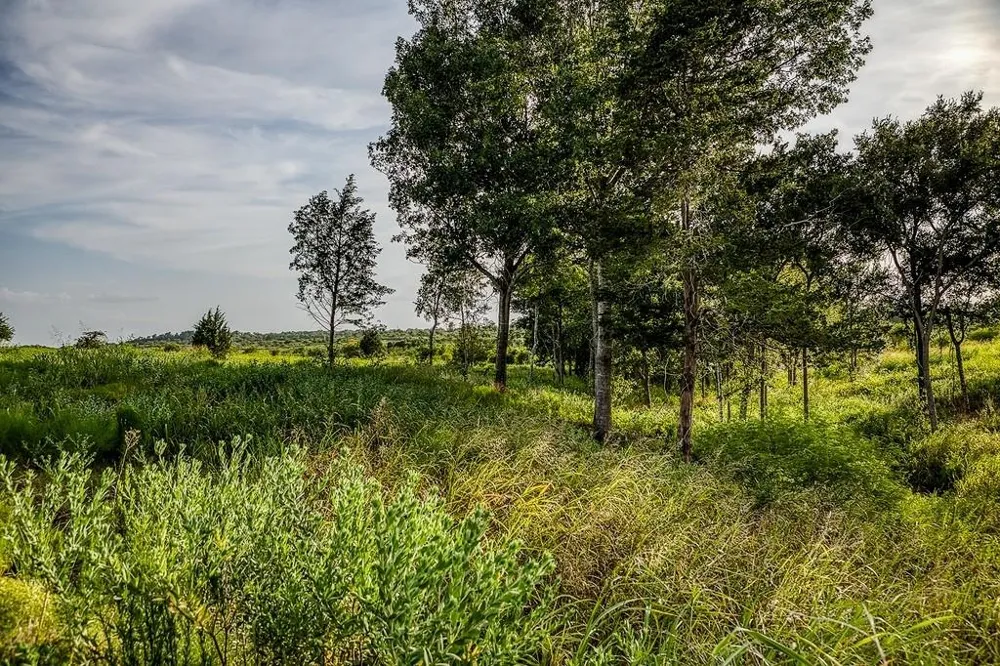 10 Hargrove Lane Washington, TX 77880