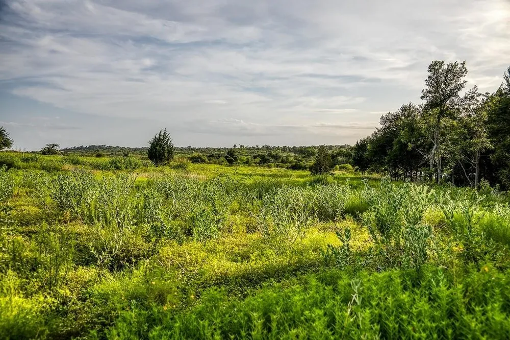 10 Hargrove Lane Washington, TX 77880