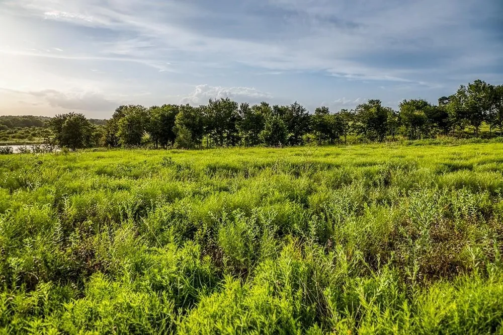 10 Hargrove Lane Washington, TX 77880