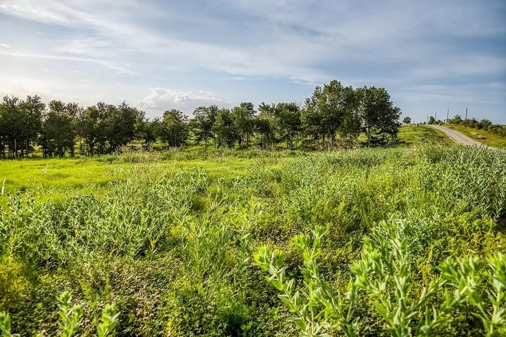 10 Hargrove Lane Washington, TX 77880