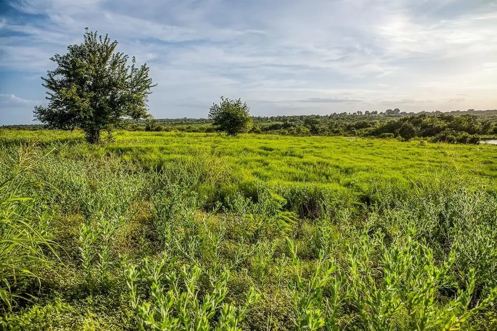 10 Hargrove Lane Washington, TX 77880