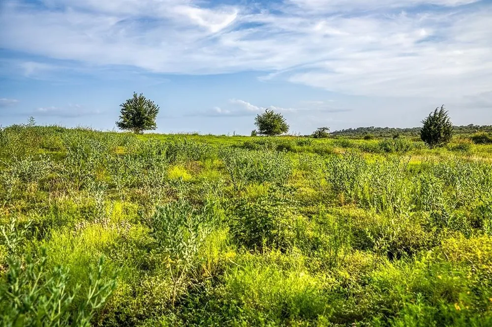 10 Hargrove Lane Washington, TX 77880
