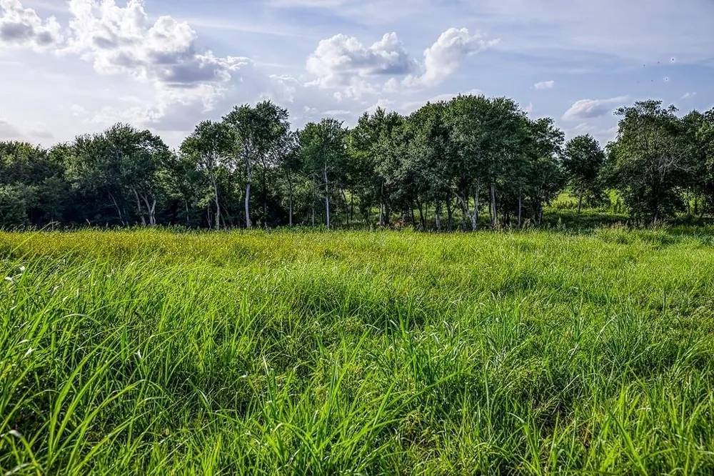 3 Hargrove Lane Washington, TX 77880