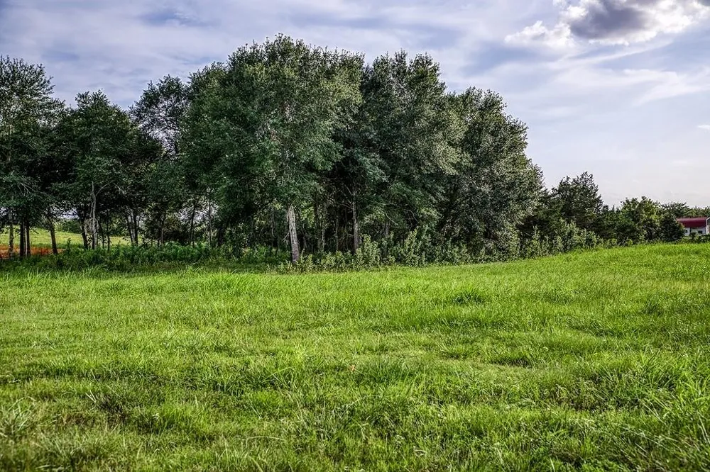 3 Hargrove Lane Washington, TX 77880