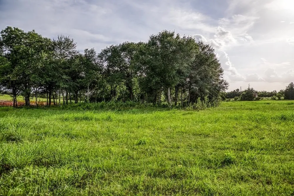 3 Hargrove Lane Washington, TX 77880