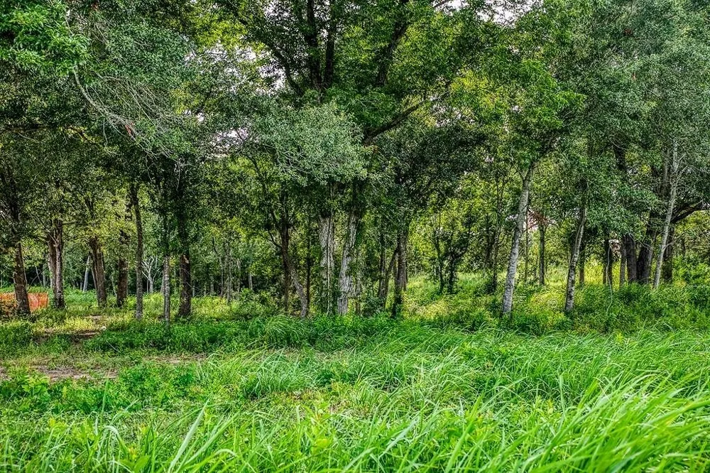 3 Hargrove Lane Washington, TX 77880
