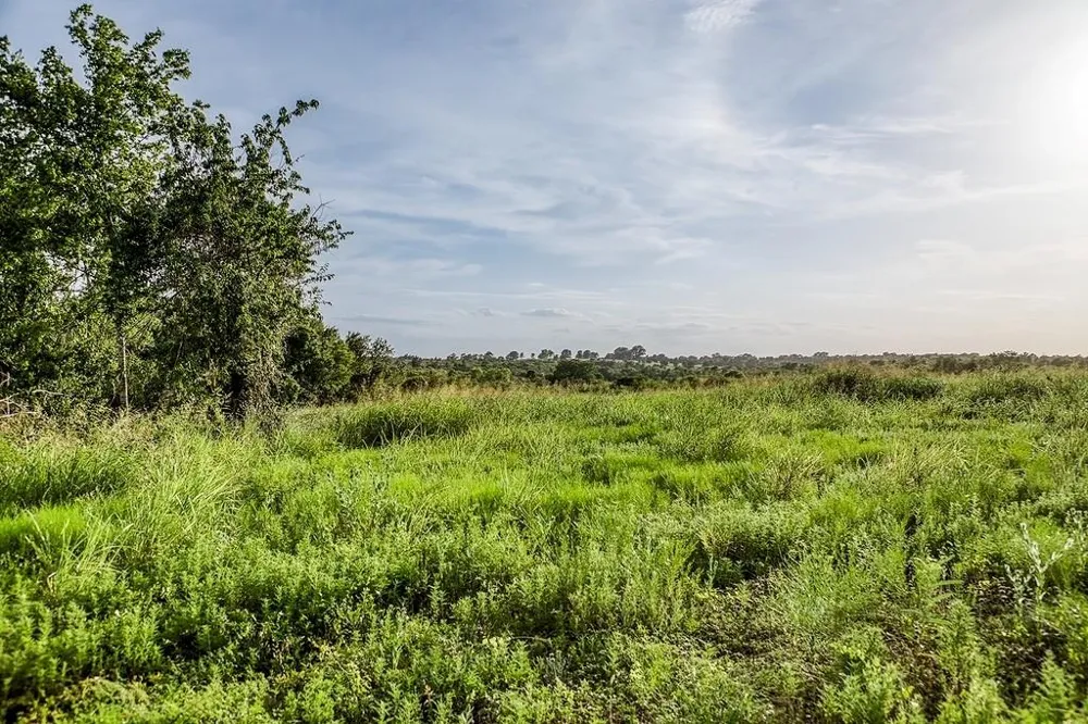 9 Hargrove Lane Washington, TX 77880