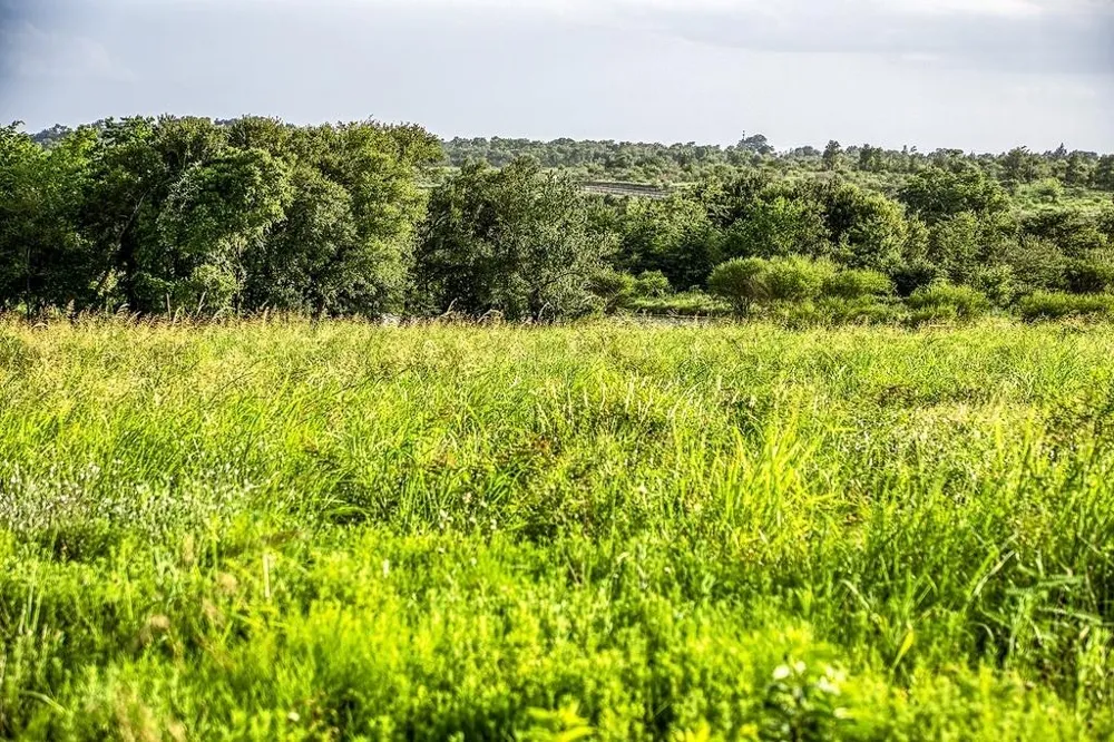 9 Hargrove Lane Washington, TX 77880