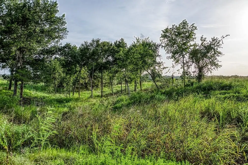 9 Hargrove Lane Washington, TX 77880