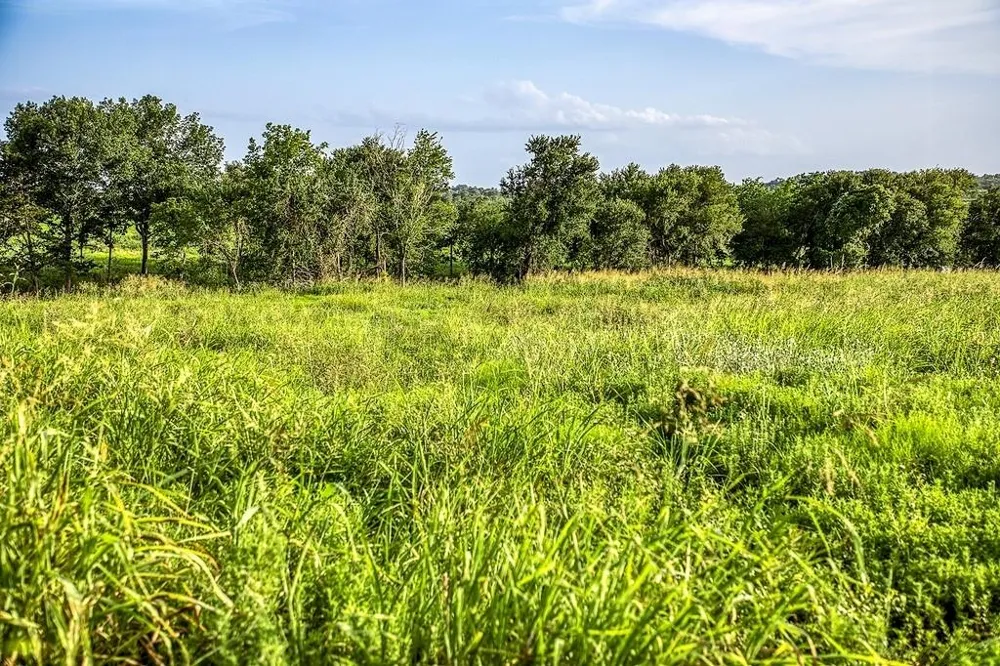 9 Hargrove Lane Washington, TX 77880