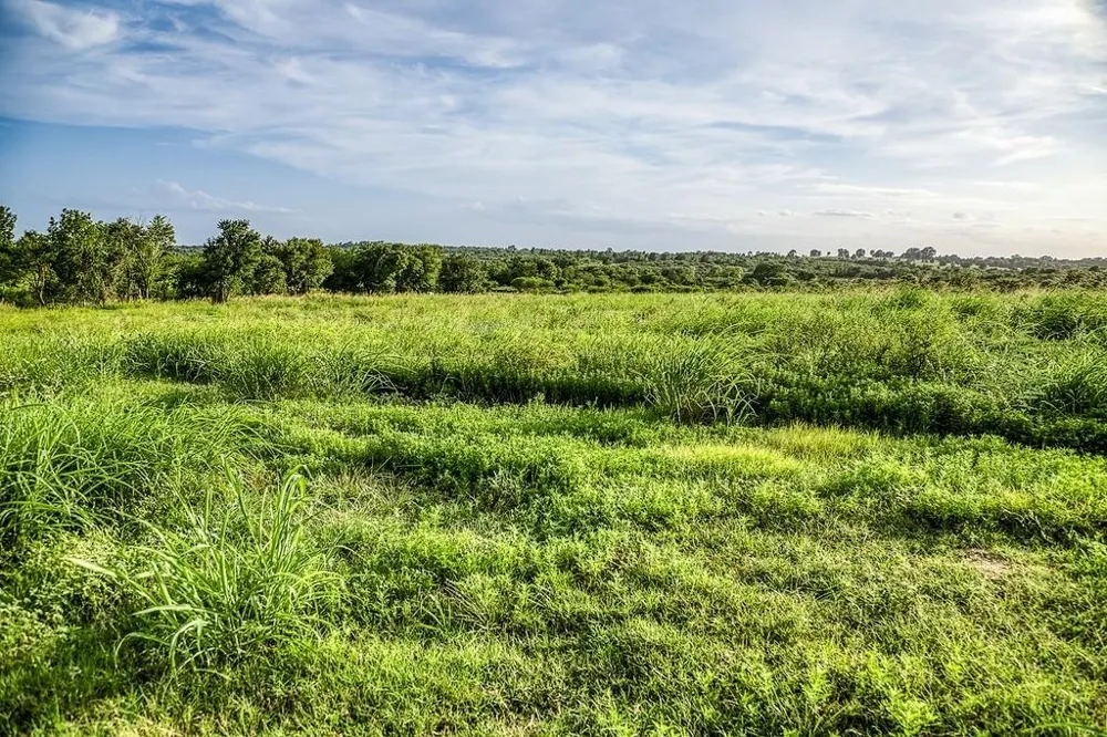9 Hargrove Lane Washington, TX 77880