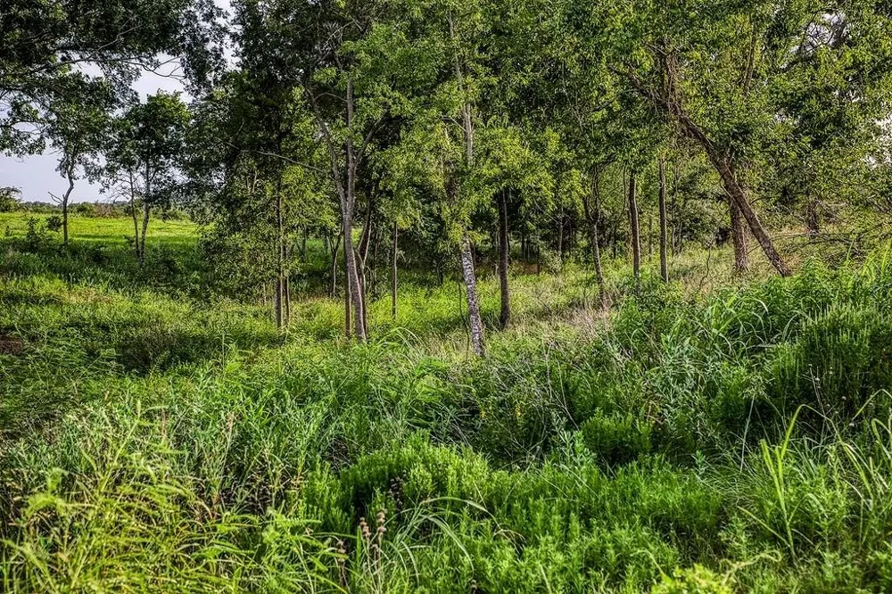 9 Hargrove Lane Washington, TX 77880
