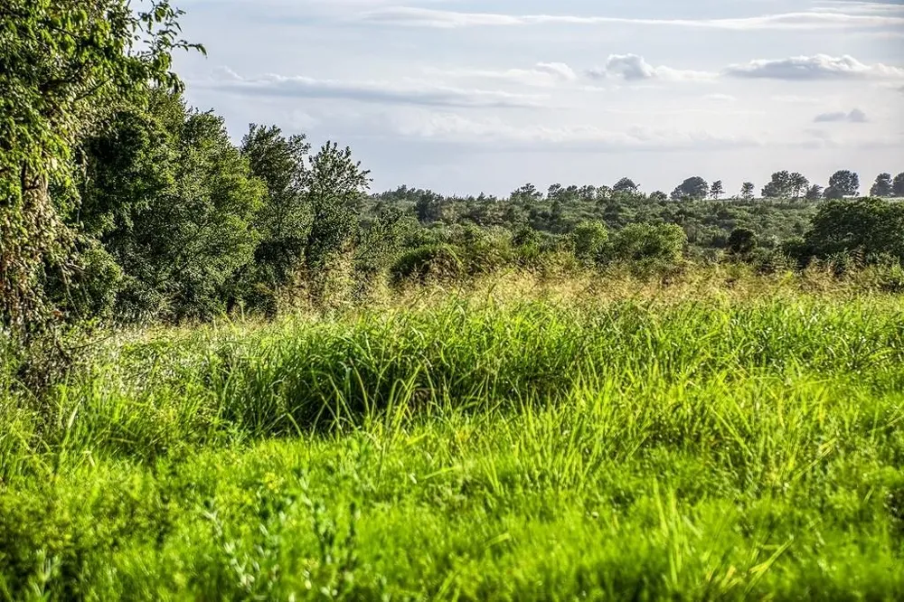 9 Hargrove Lane Washington, TX 77880