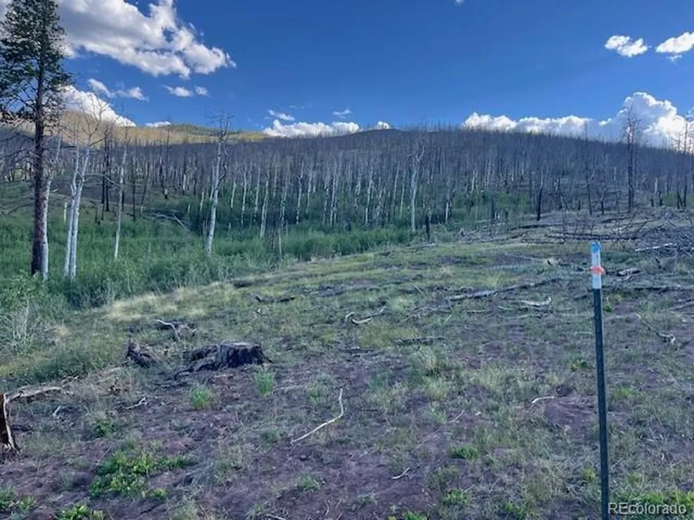 968 Hunington Lane Fort Garland, CO 81133