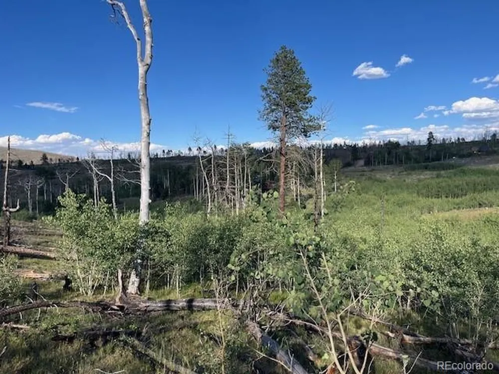 968 Hunington Lane Fort Garland, CO 81133