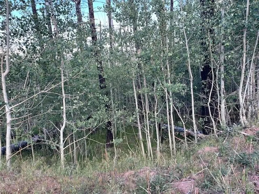 968 Hunington Lane Fort Garland, CO 81133