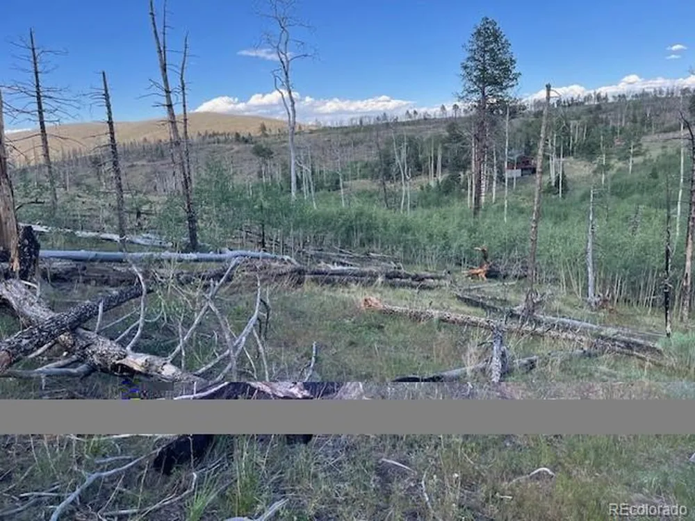 968 Hunington Lane Fort Garland, CO 81133