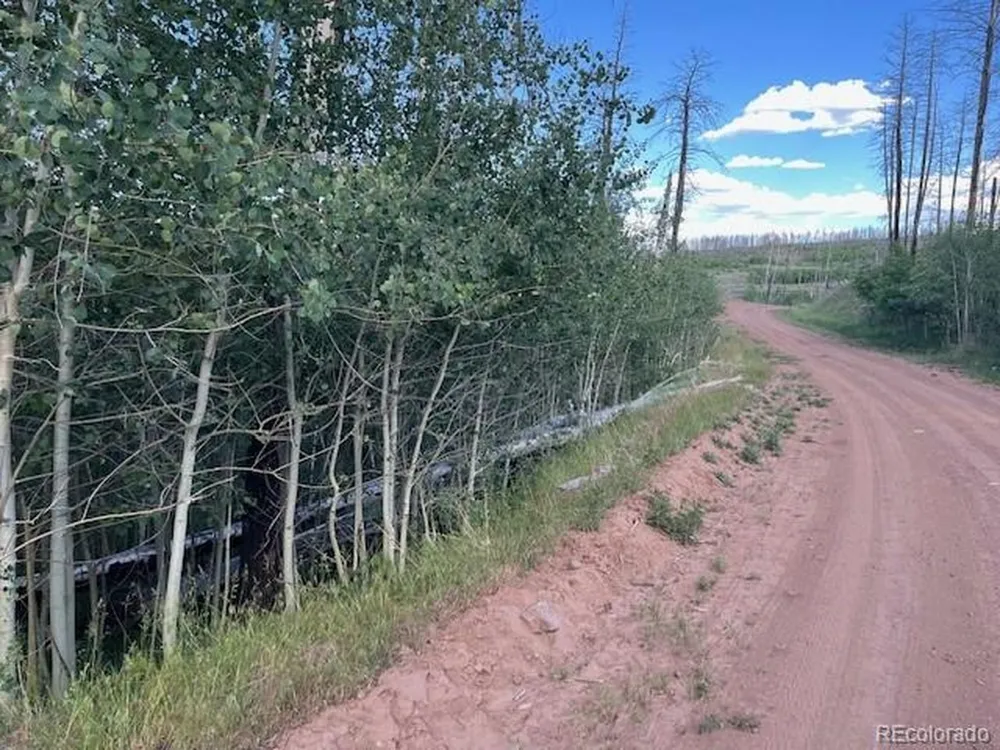968 Hunington Lane Fort Garland, CO 81133
