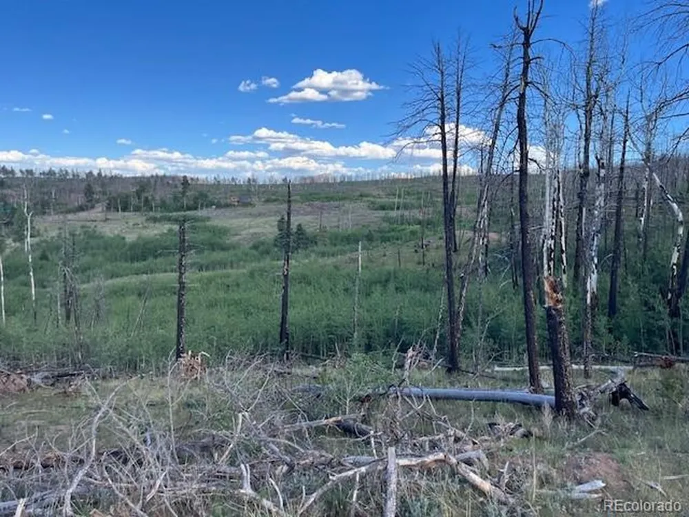 968 Hunington Lane Fort Garland, CO 81133