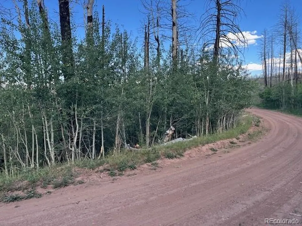 968 Hunington Lane Fort Garland, CO 81133