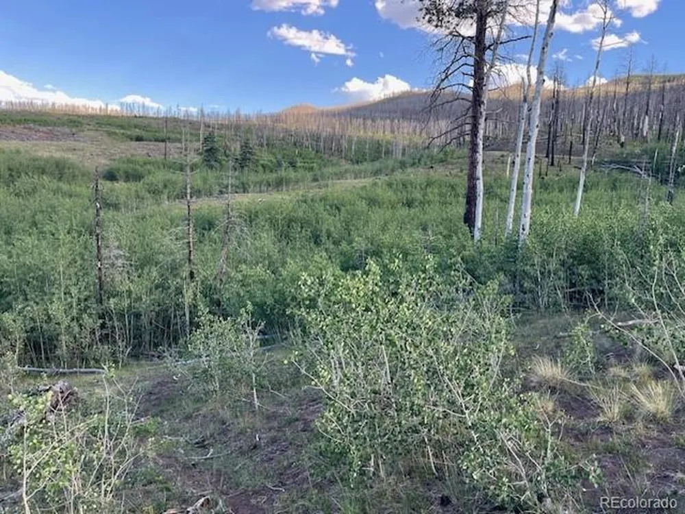 968 Hunington Lane Fort Garland, CO 81133