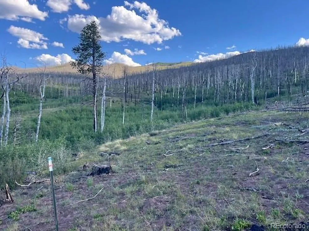 968 Hunington Lane Fort Garland, CO 81133
