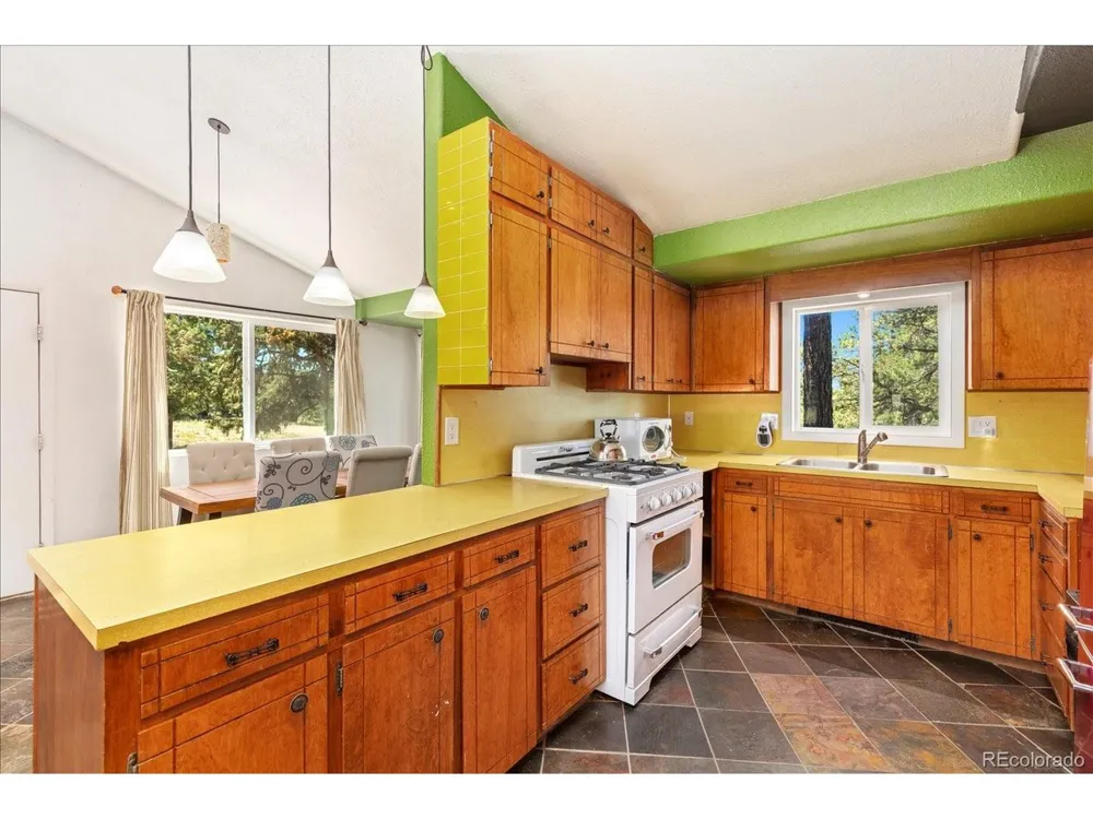 296 Palomino Way Crestone, CO 81131