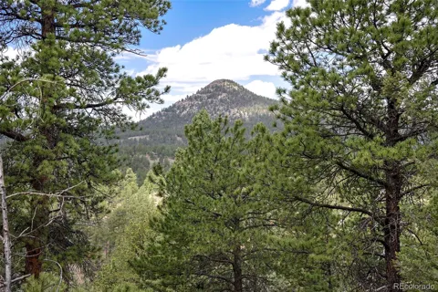 293 Badger Trail