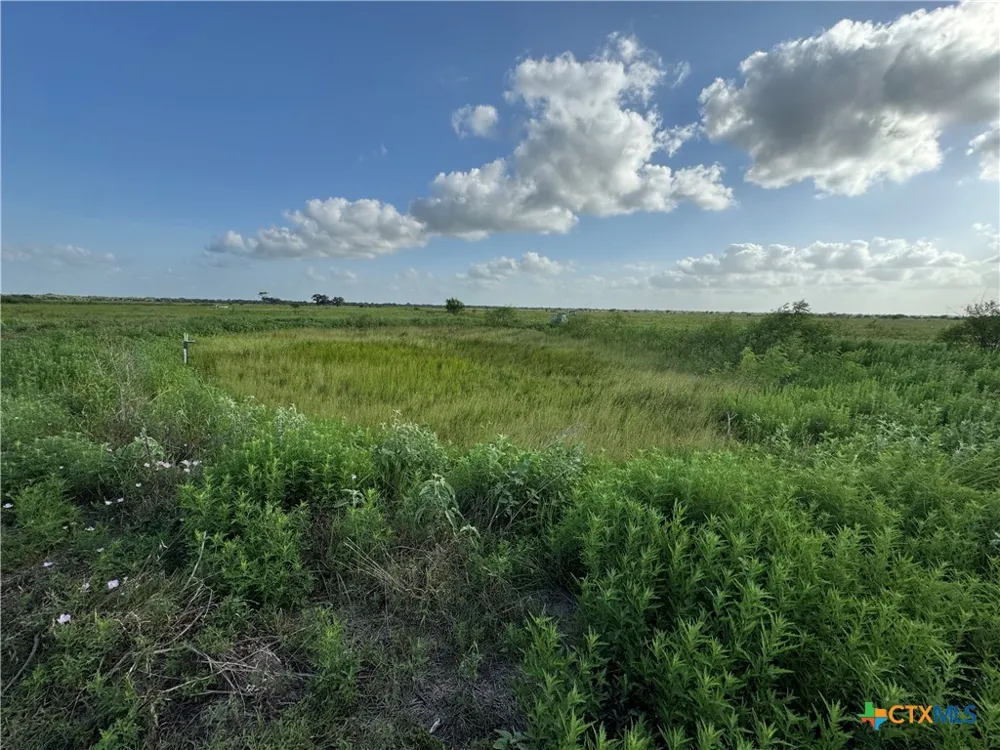 County Road 18 30.73 Acres Tract 2 Hallettsville, TX 77964