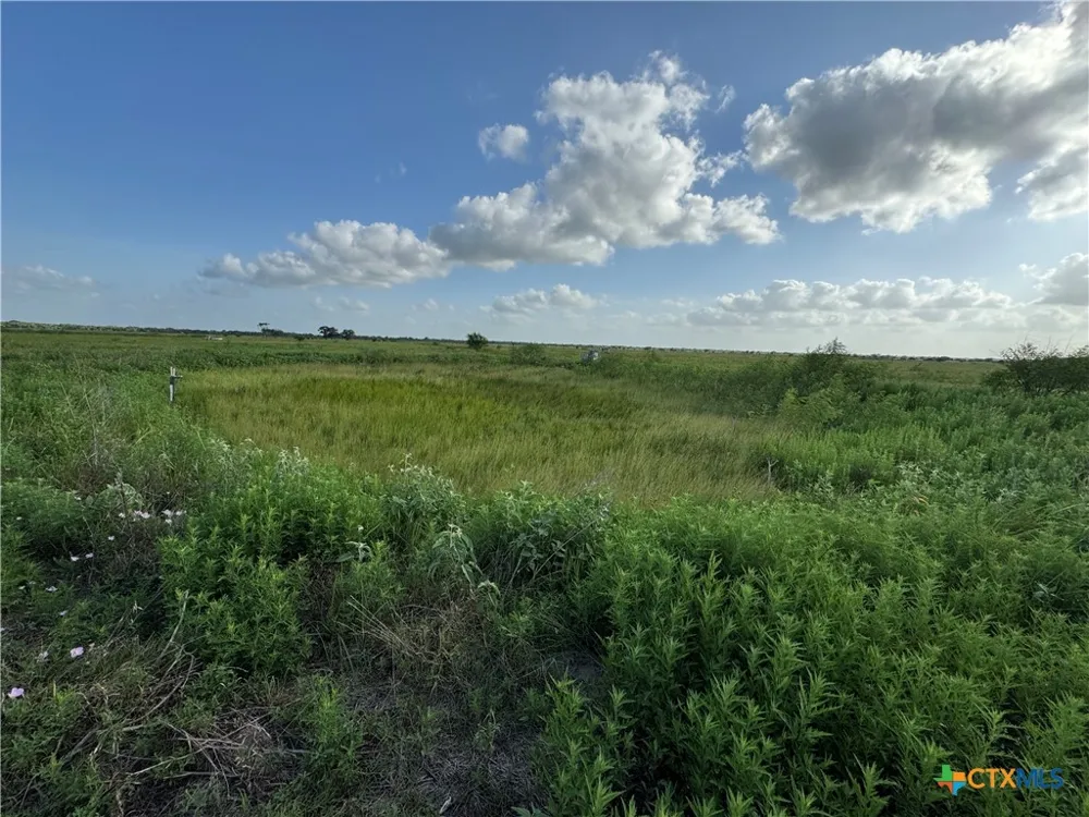 County Road 18 30.73 Acres Tract 2 Hallettsville, TX 77964